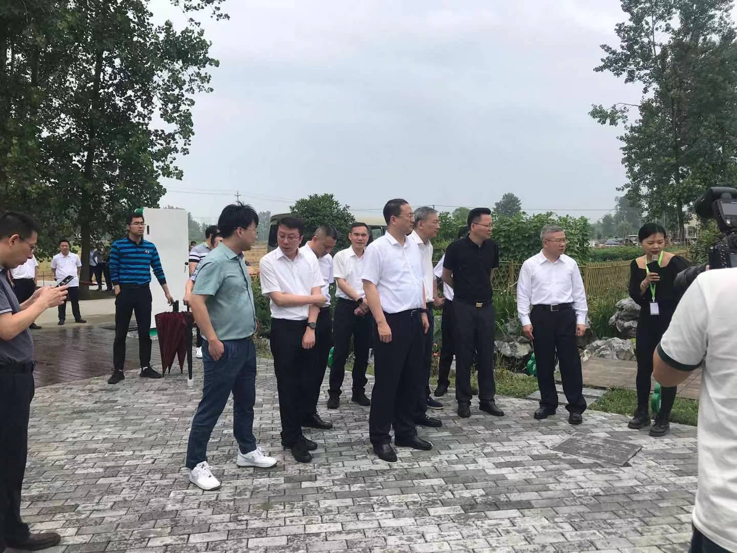 2021年6月3日，时任浙江省人民政府党组成员、副省长徐文光亲临金沙威尼斯欢乐娱人城梅蓉村农村生活污水处理设施现场进行调研。